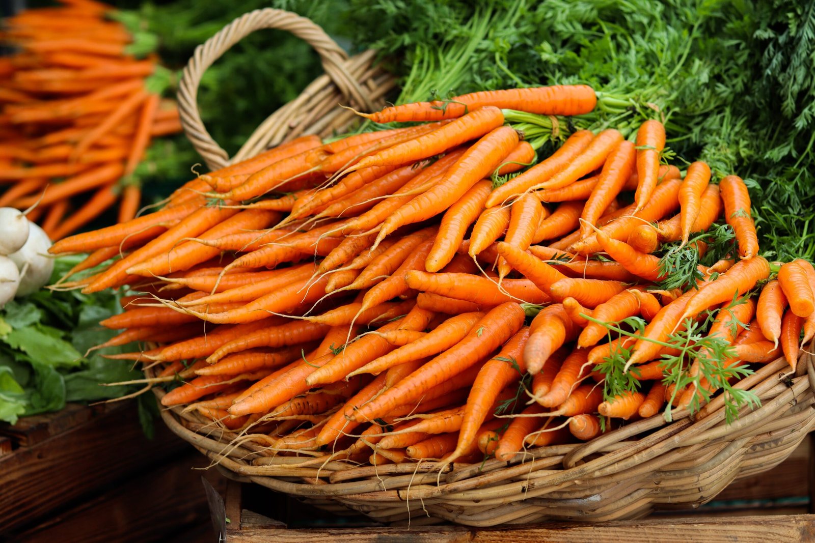 Are Carrots Really great for Your Eyes? Divulging Reality